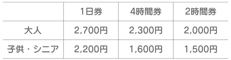 雪遊びチケット